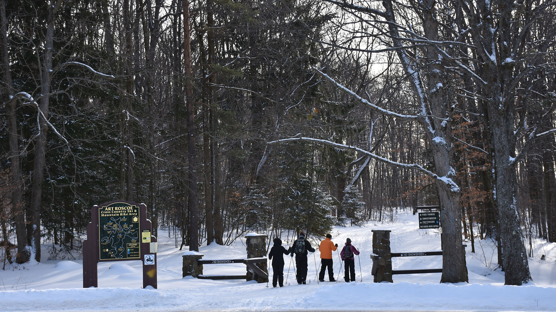 Cross Country Skiing on the Art Roscoe Trails - 2016