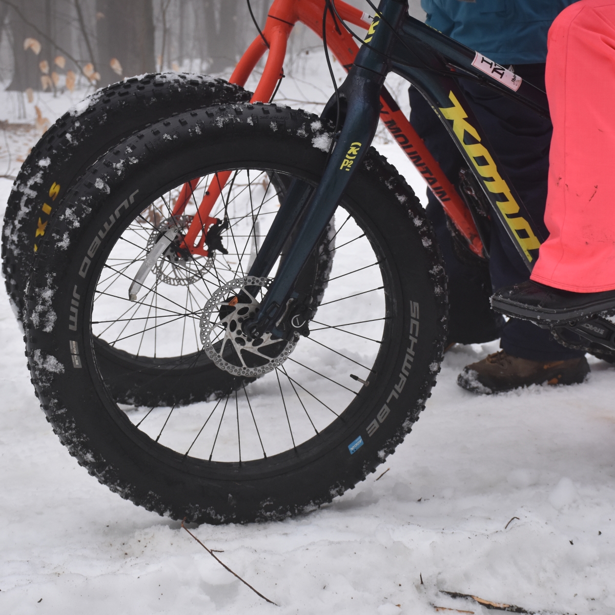 Fat Bikes along trail in Allegany State Park