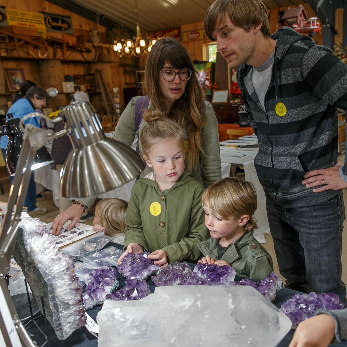 Family looking at gems at the Gem, Mineral & Fossil Show at Rock City Park