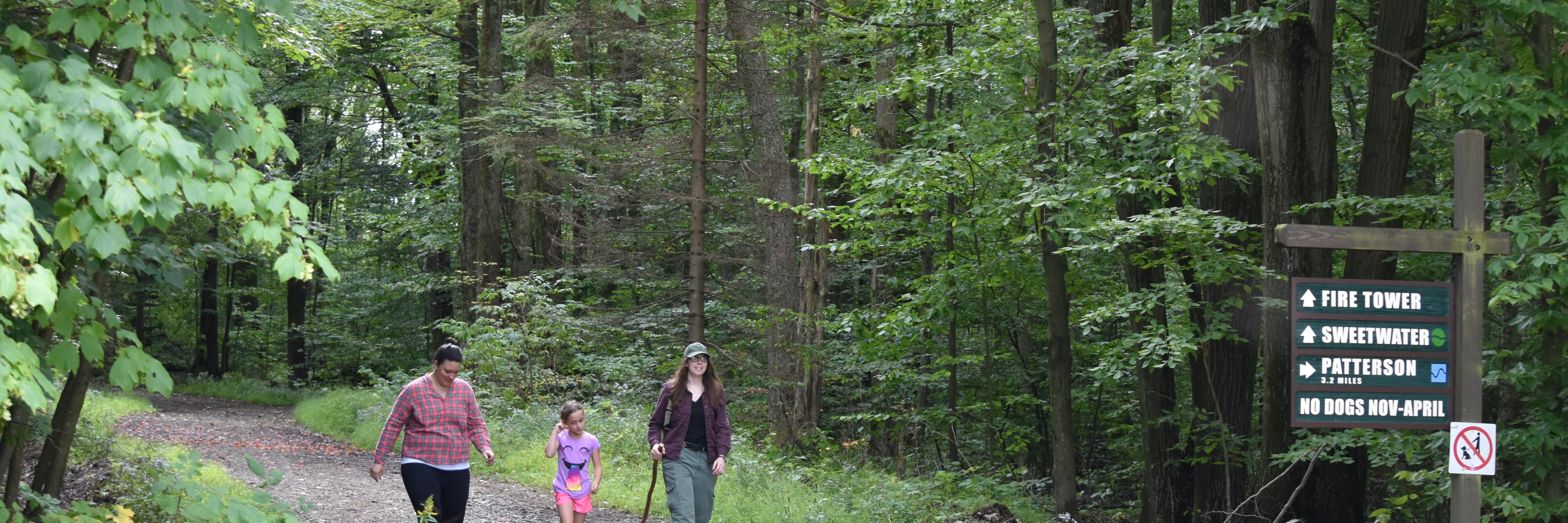 Hiking at Allegany State Park