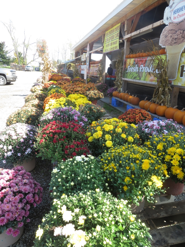 Flowers at Peaches and Cream