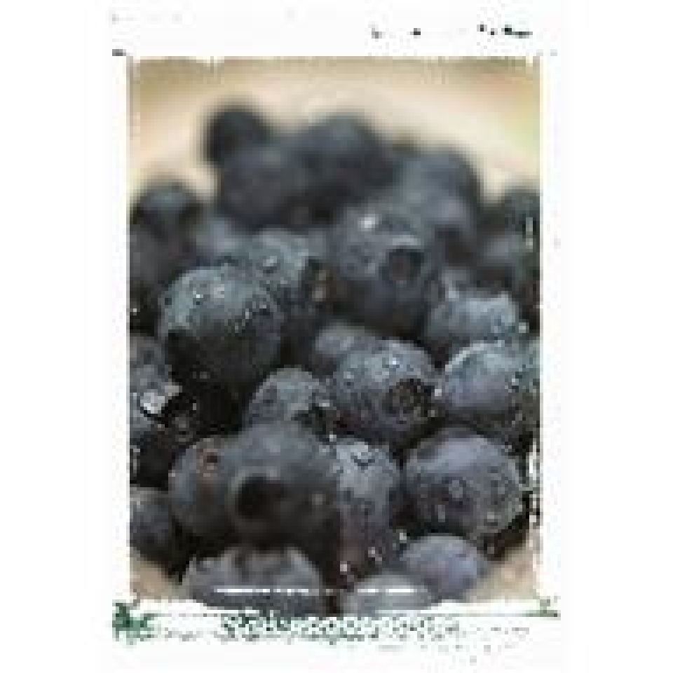 Blueberries