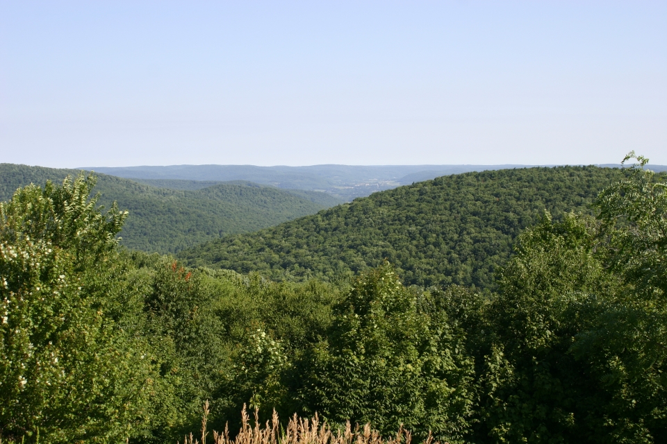 View in Allegany