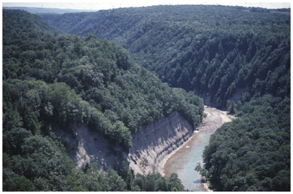 View at Zoar Valley