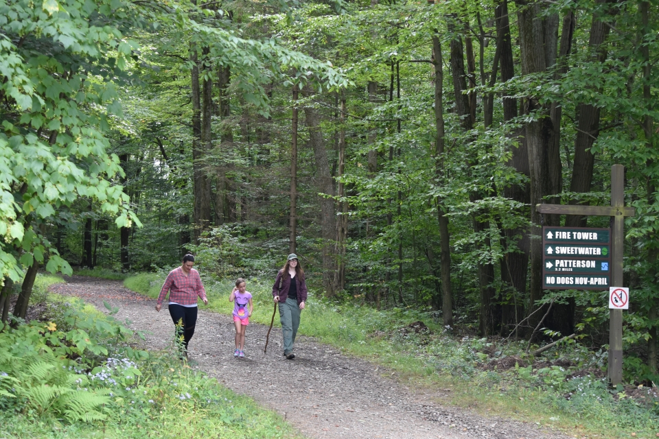 Summer Hiking at Allegany State Park