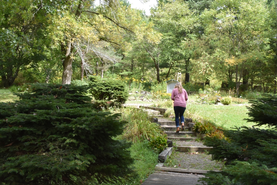 Walking around Nannen Arboretum