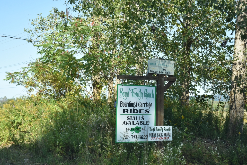 Boyd Family Ranch sign