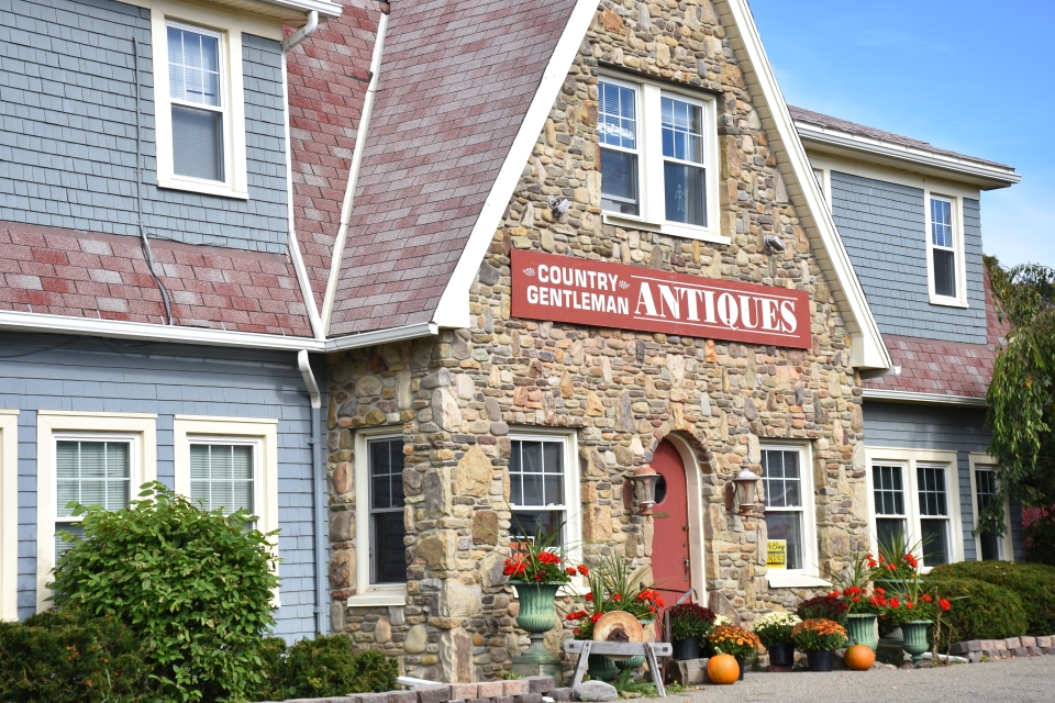 Country Gentlemen Antiques in Olean