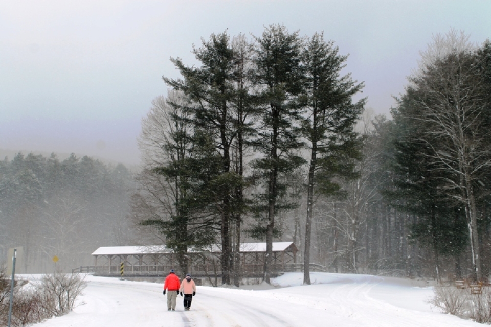 Hikers at Allegany State Park