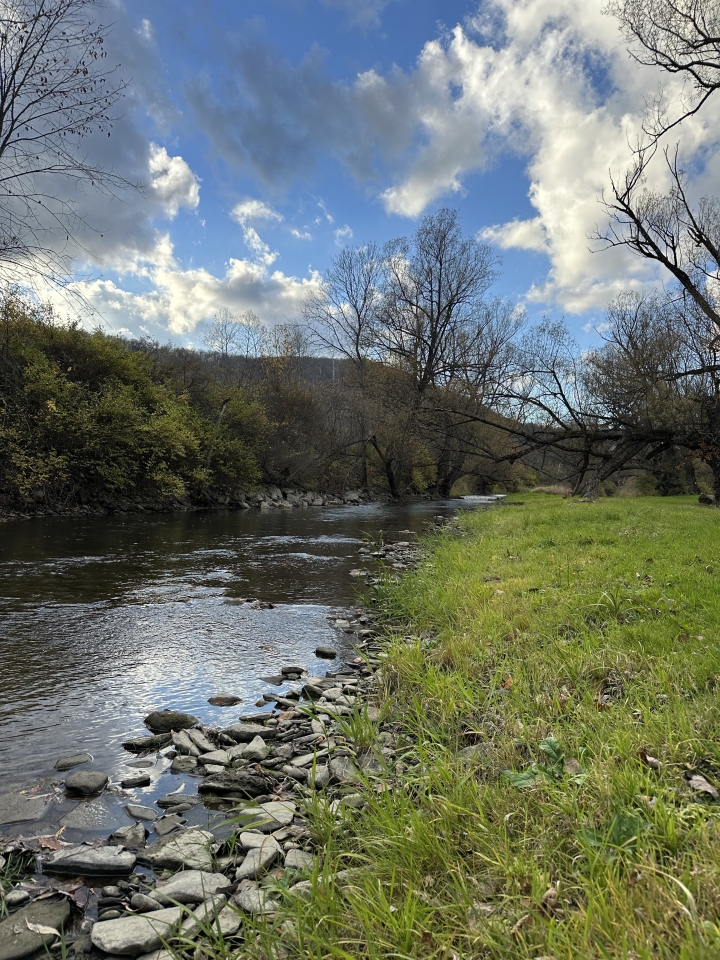 Ischua Creek next at Campground Adventures