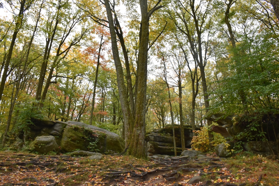 A view of some of the rocks at Thunder Rocks