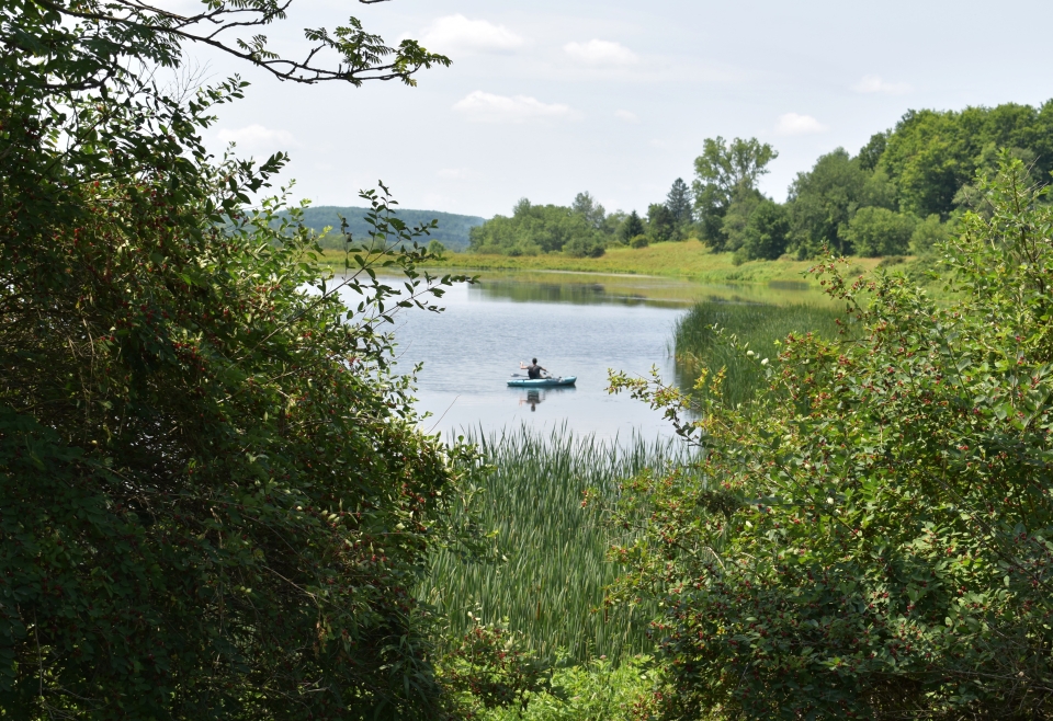 Kayaker at Harwood Lake