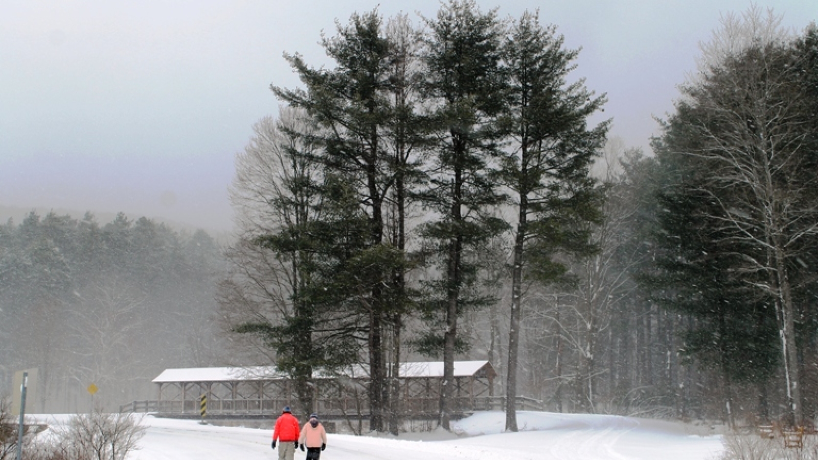 Hikers at Allegany State Park