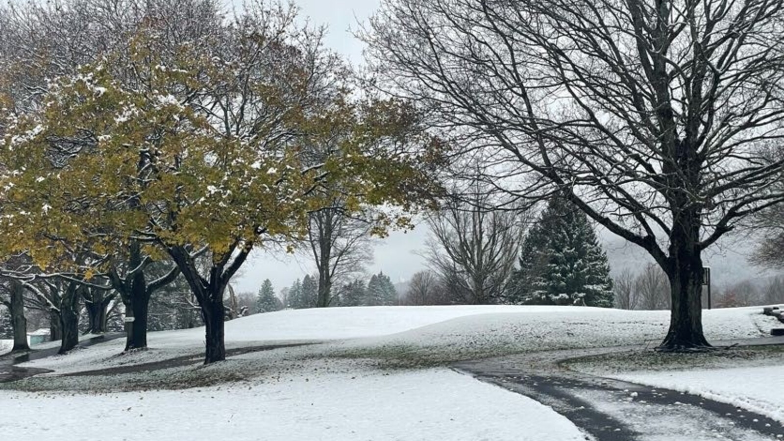 Autumn meets Winter - First snowfall of 2024 