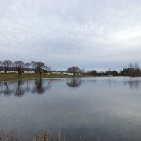 A view at the lake of some RVs at Shamrock Pines Campground