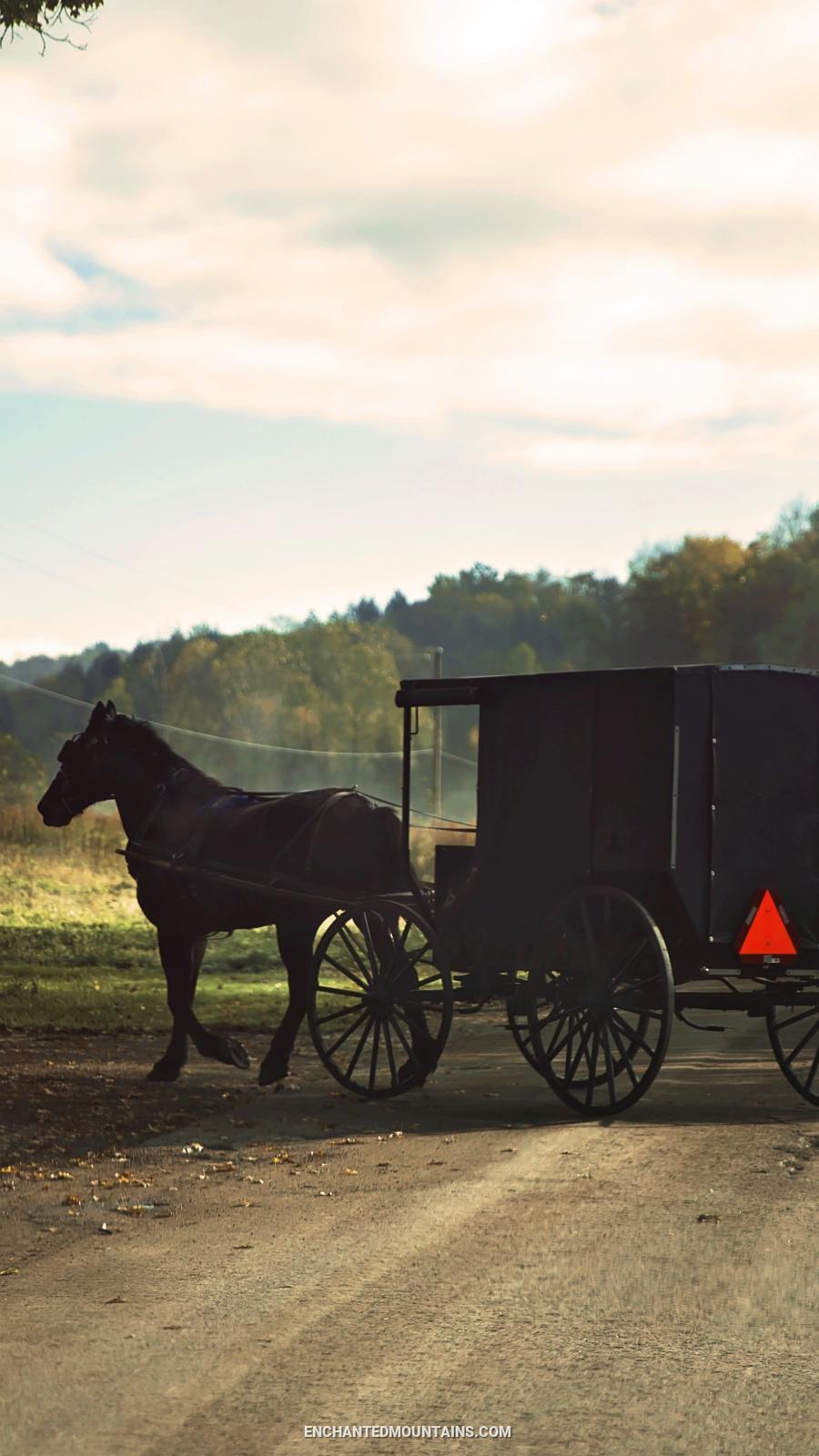 Horse and buggy on the Amish Trail