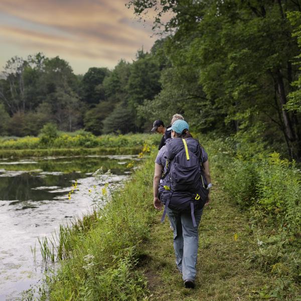 Hiking through NY State Land