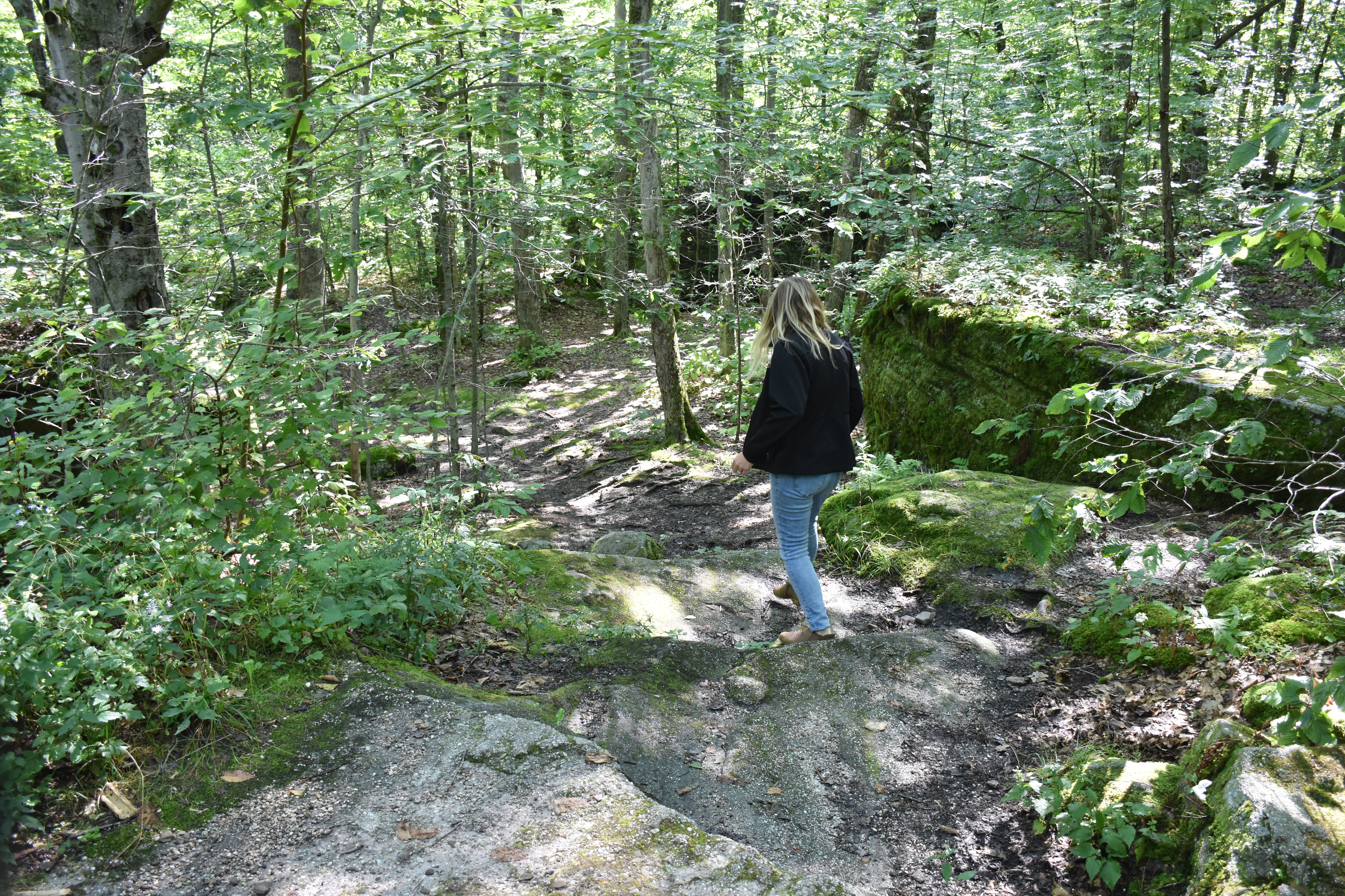 A short hike at Little Rock City State Forest.