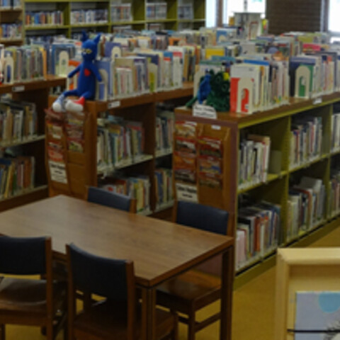 Books inside the Olean Library