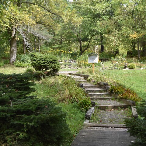 Path at Nannen