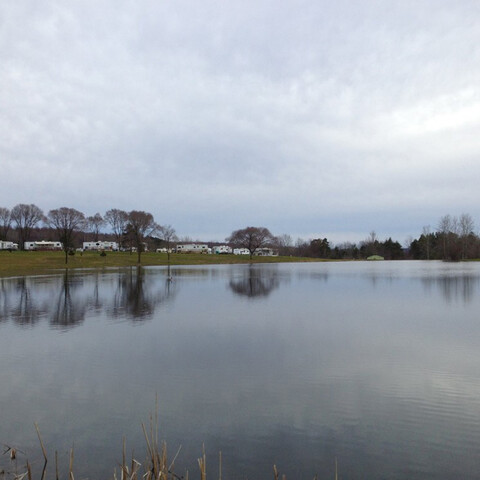 A view at the lake of some RVs at Shamrock Pines Campground