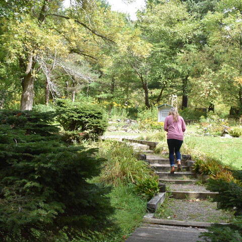 Walking around Nannen Arboretum