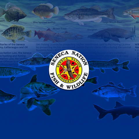 Various fish from the Seneca Nation of Indians with the logo of the Seneca Nation Fish & Wildlife (Seneca Nation Conservation)