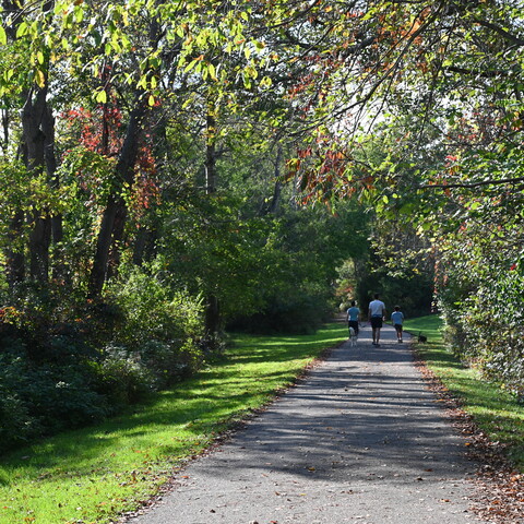 Family and their dog enjoying an early fall day on Allegheny River Valley Trail