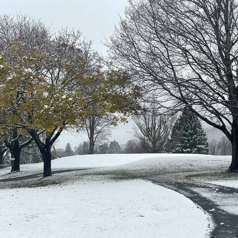 Autumn meets Winter - First snowfall of 2024 