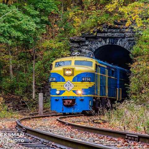 NYLE Railroad in Gowanda