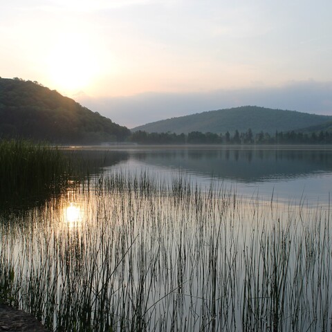 Sunset at Allegany State Park