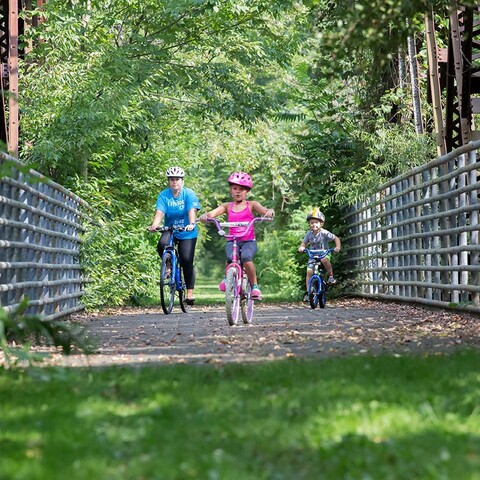 Bikers on the Pat McGee Trail