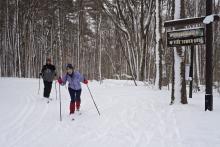 Cross Country Skiing