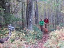 Hiking at Allegany State Park