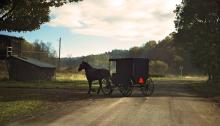 Horse and buggy on the Amish Trail