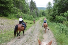 Go hiking, horsebacking, or snowmobiling at Elkdale State Forest