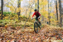 Mountain Biking near Little Rock City in Cattaraugus County